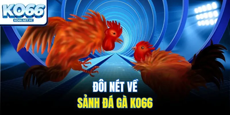 Đôi nét về sảnh đá gà KO66